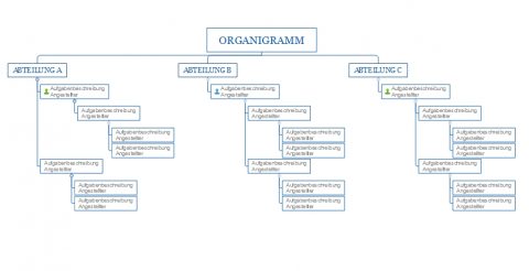 organigramm